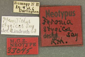 Media type: image;   Entomology 33045 Aspect: labels